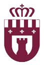 logo simple busot_trans